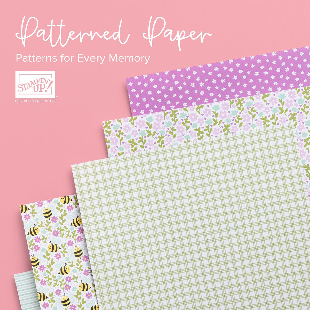 6" x 6"  Paper Share Packs