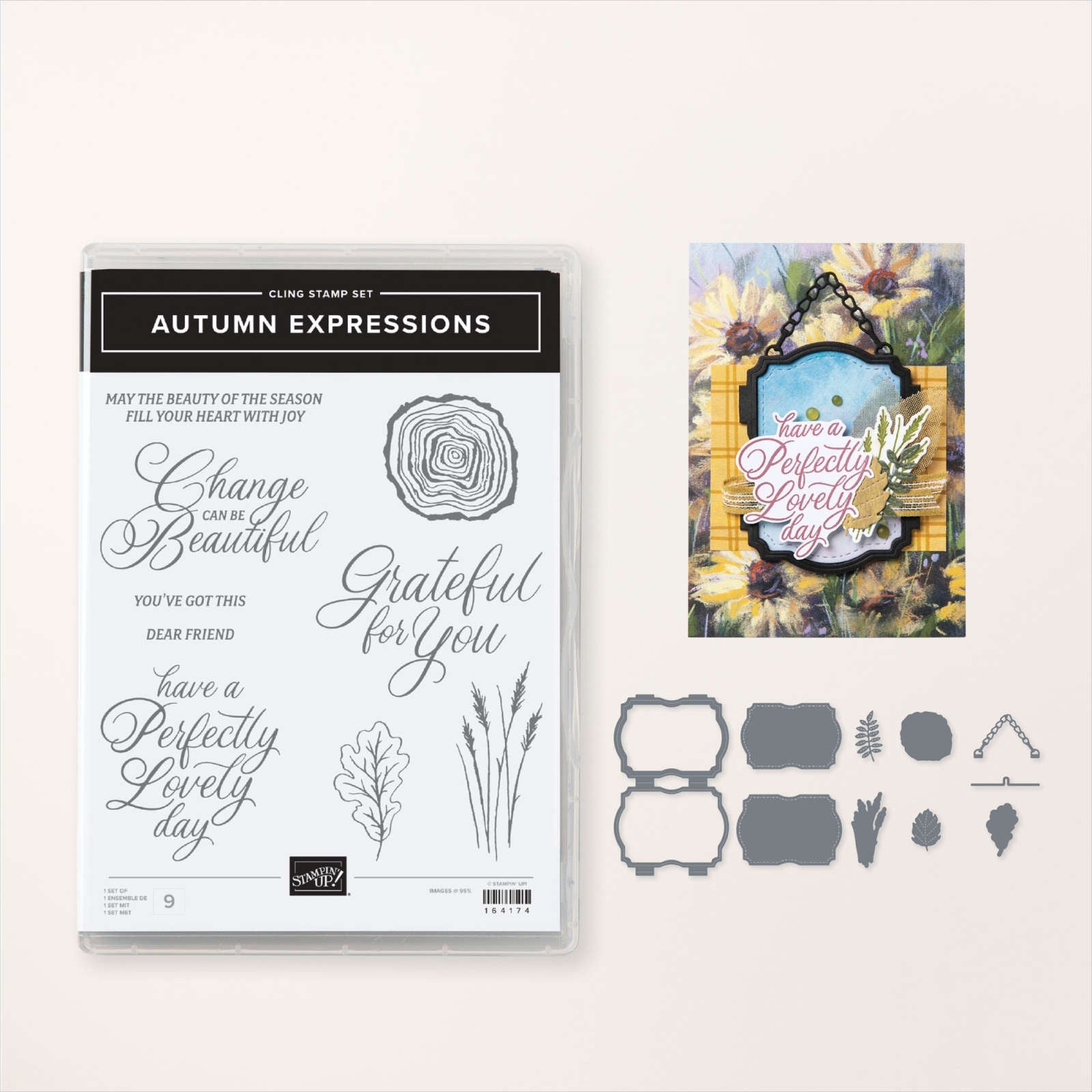 Stampin' Up! Autumn Expressions Bundle